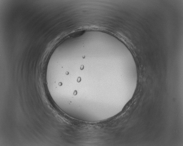 X0000083530193200702240027