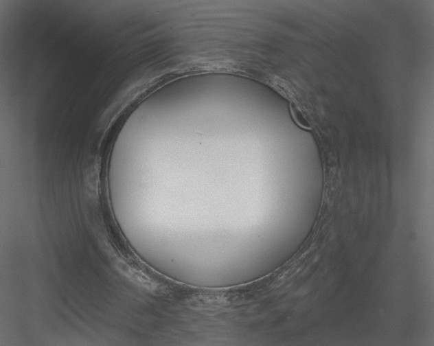 X0000083530194200702240027