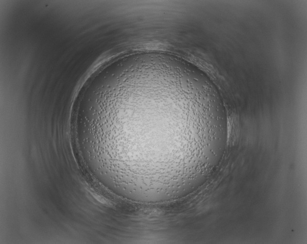 X0000083530195200702240027