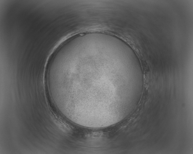 X0000083530196200702240027