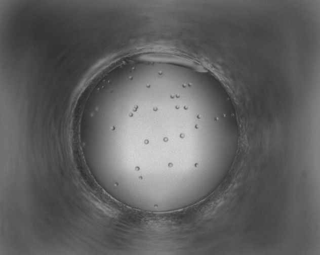 X0000083530199200702240027