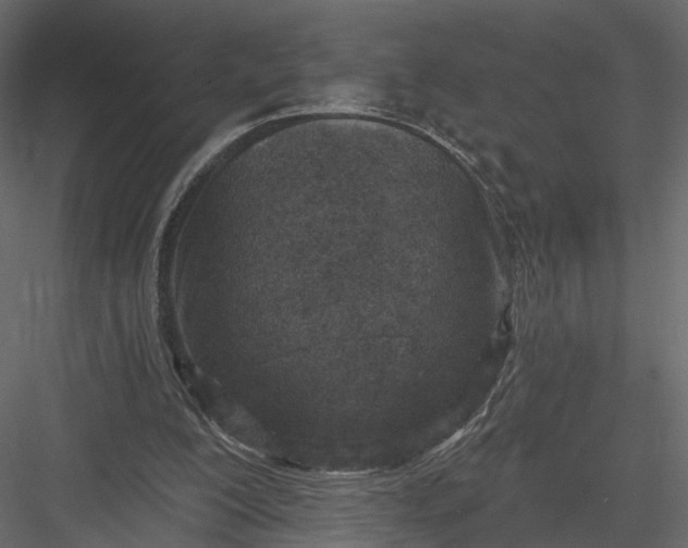 X0000083530200200702240027