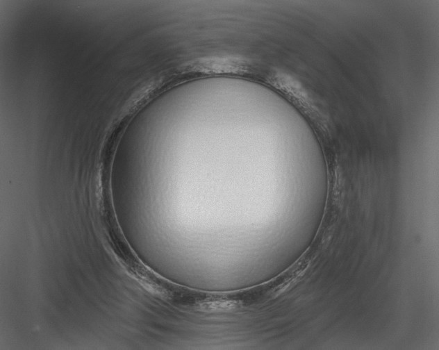 X0000083530202200702240027