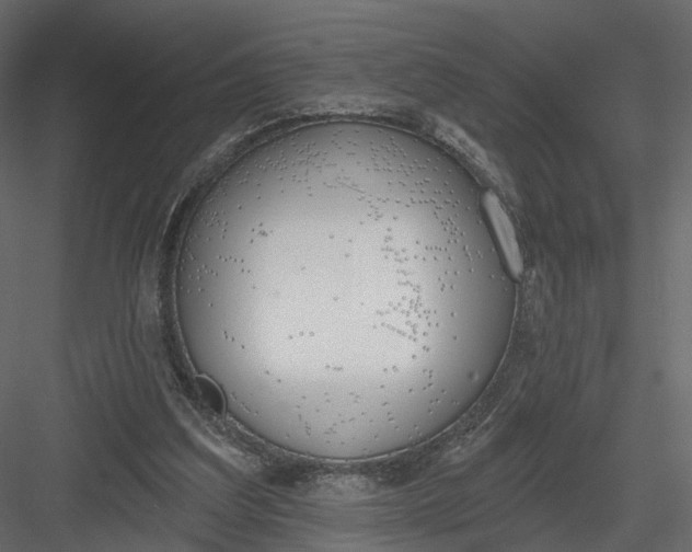 X0000083530203200702240027