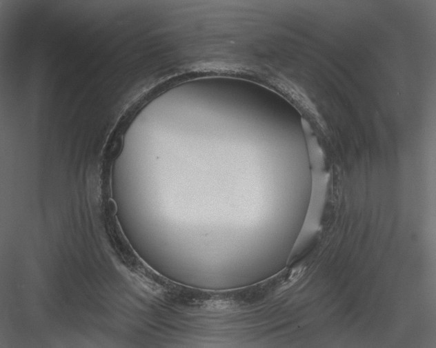 X0000083530204200702240027