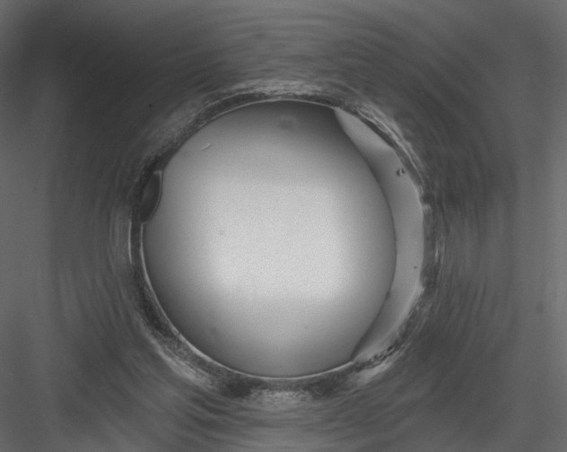 X0000083530205200702240027