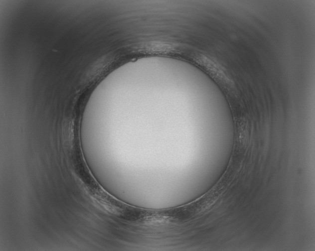 X0000083530206200702240027