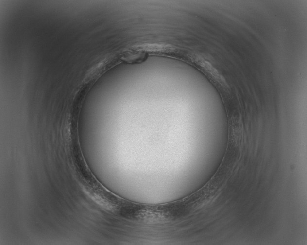 X0000083530207200702240027