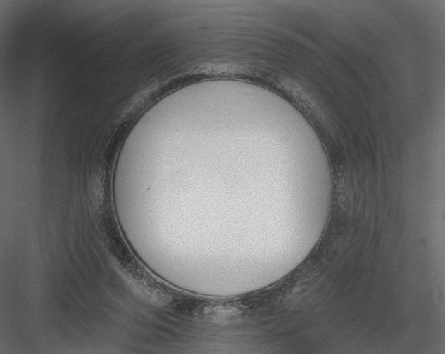 X0000083530208200702240027