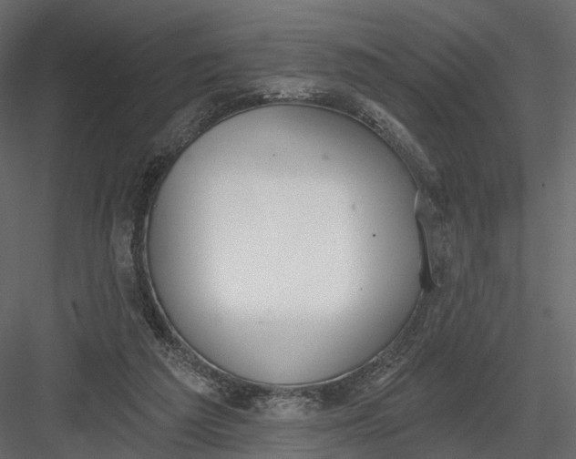 X0000083530209200702240027