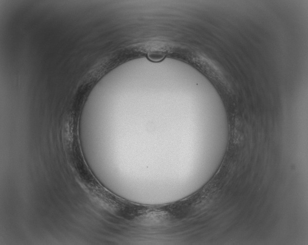 X0000083530210200702240027