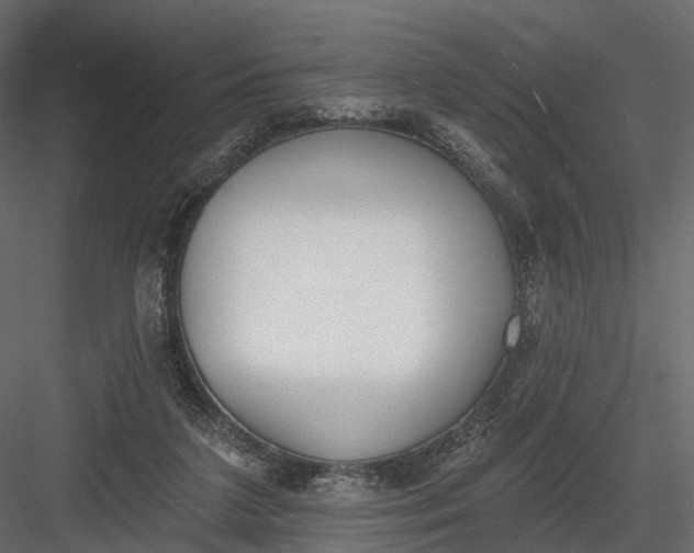 X0000083530211200702240027