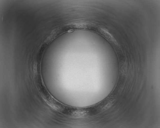 X0000083530213200702240027