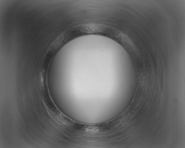 X0000083530214200702240027