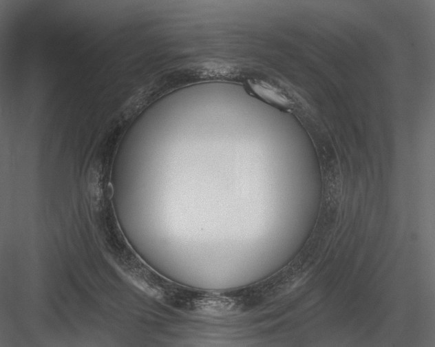 X0000083530215200702240027