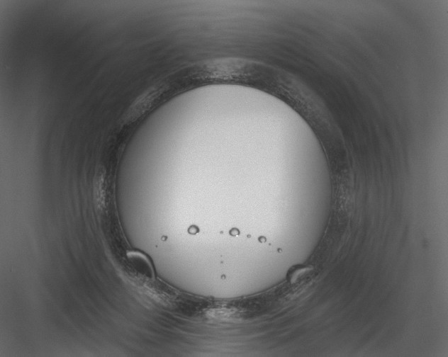 X0000083530216200702240027