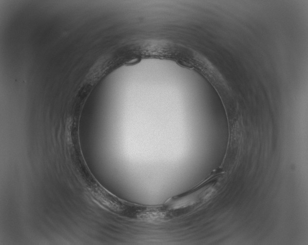 X0000083530217200702240027