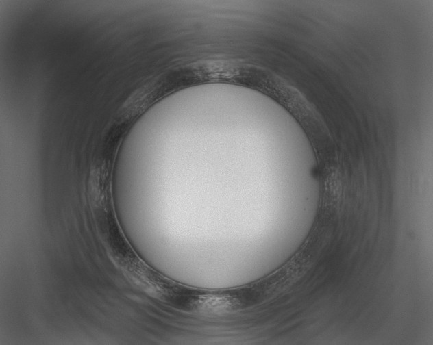 X0000083530218200702240027