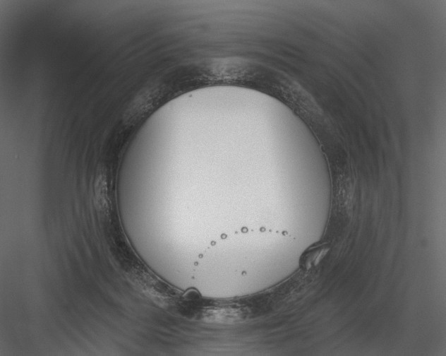 X0000083530220200702240027