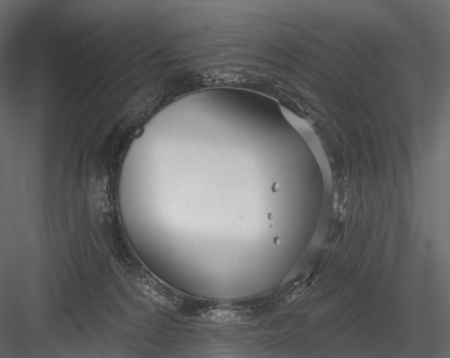 X0000083530224200702240027