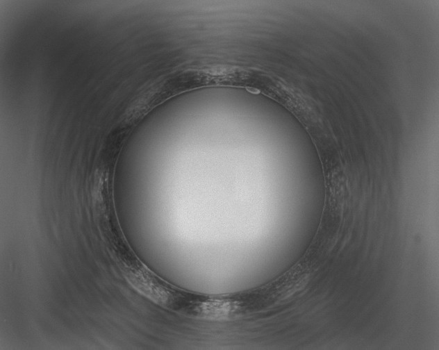 X0000083530225200702240027