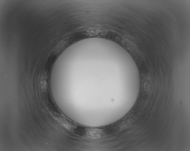 X0000083530226200702240027