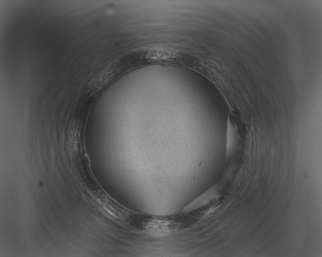 X0000083530227200702240026