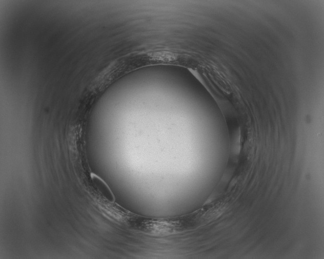 X0000083530229200702240026