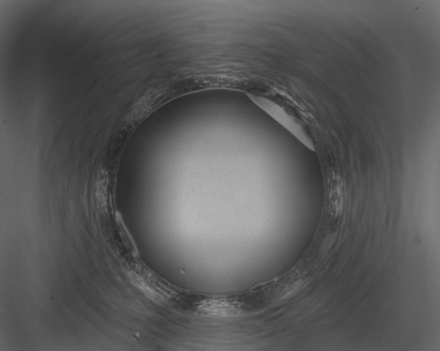 X0000083530231200702240026