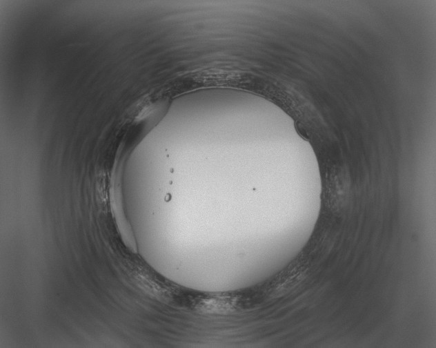 X0000083530232200702240026