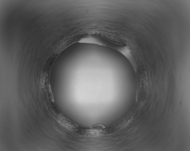 X0000083530233200702240026