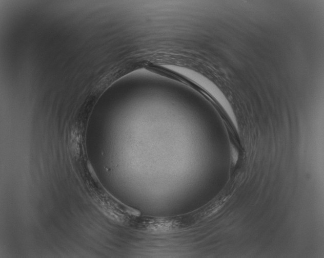 X0000083530235200702240026