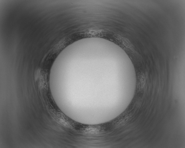 X0000083530236200702240026