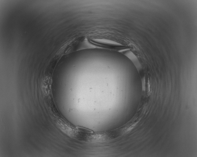 X0000083530237200702240026