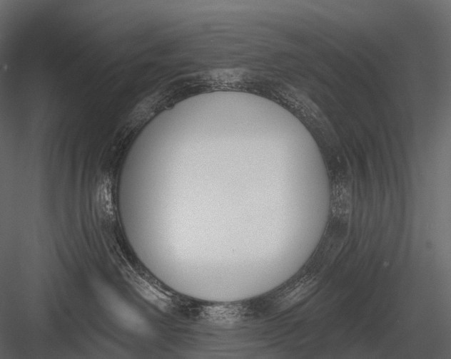 X0000083530238200702240026