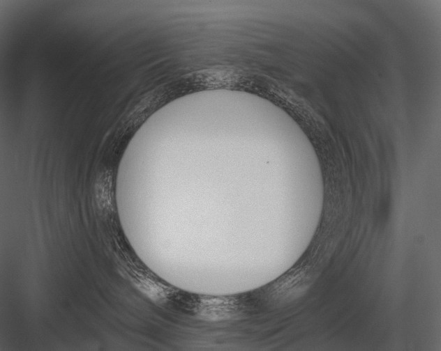 X0000083530240200702240026