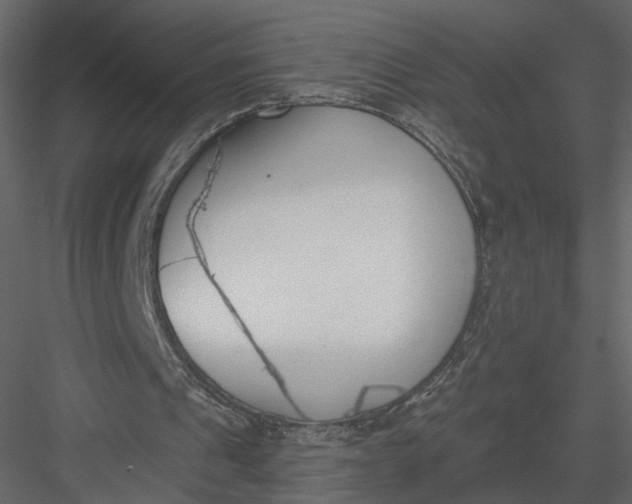 X0000083530241200702240025