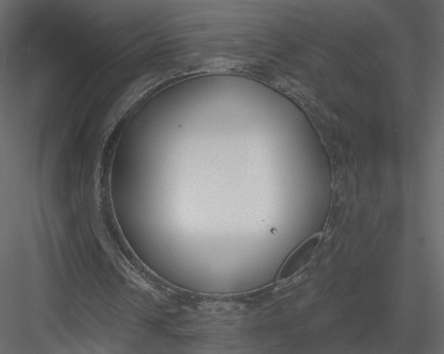 X0000083530242200702240025