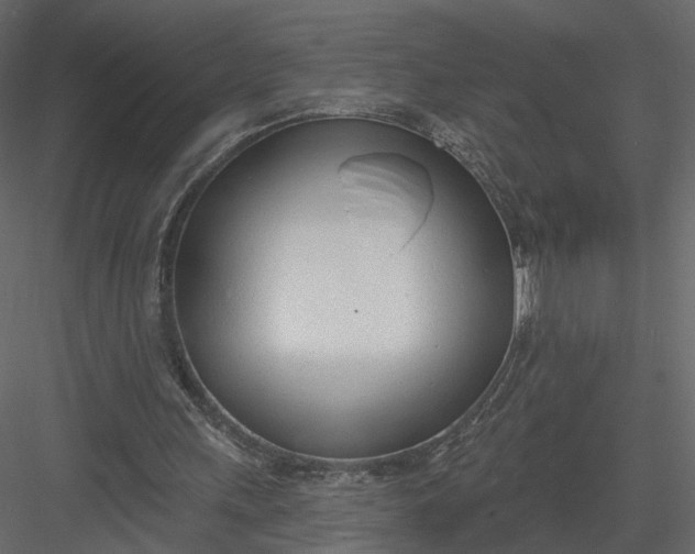 X0000083530243200702240025