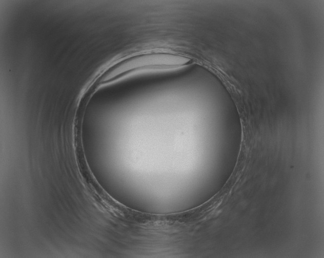 X0000083530244200702240025