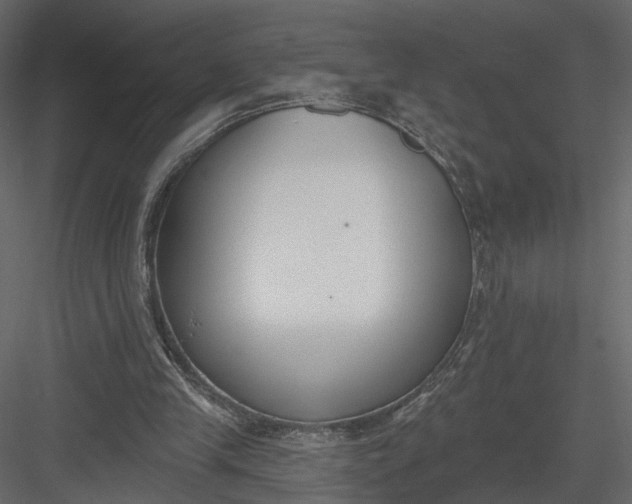 X0000083530245200702240026