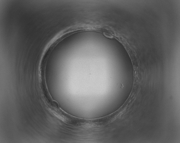 X0000083530246200702240026