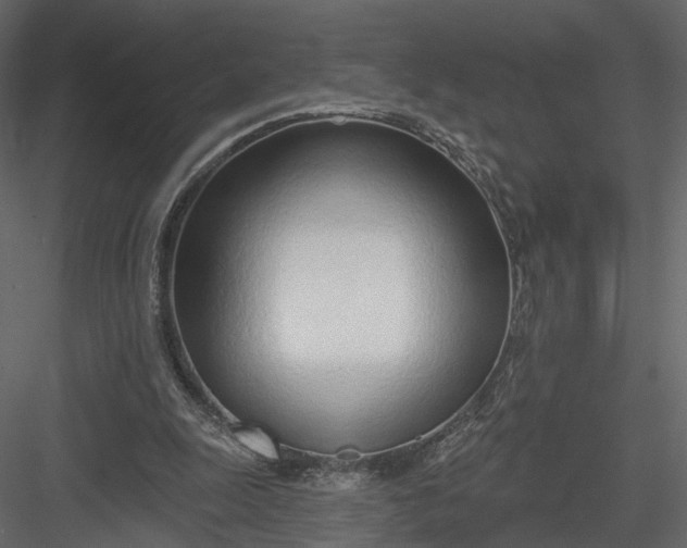 X0000083530247200702240026