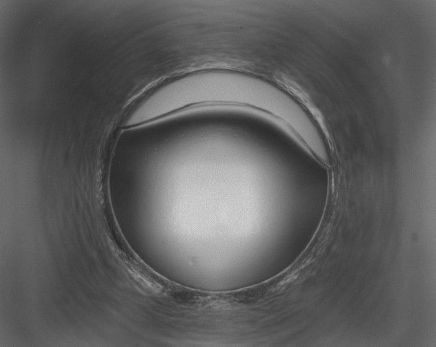 X0000083530249200702240026