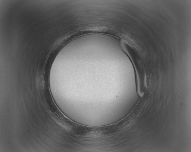 X0000083530252200702240026