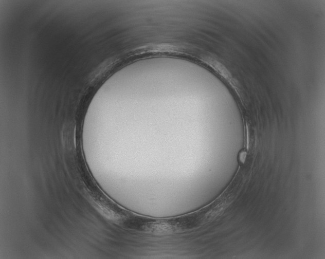 X0000083530253200702240026