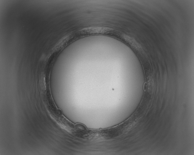 X0000083530254200702240026