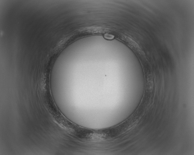 X0000083530255200702240026