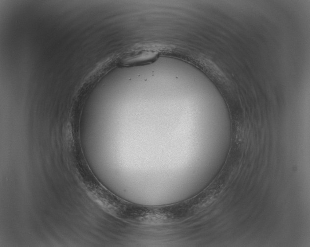 X0000083530256200702240026