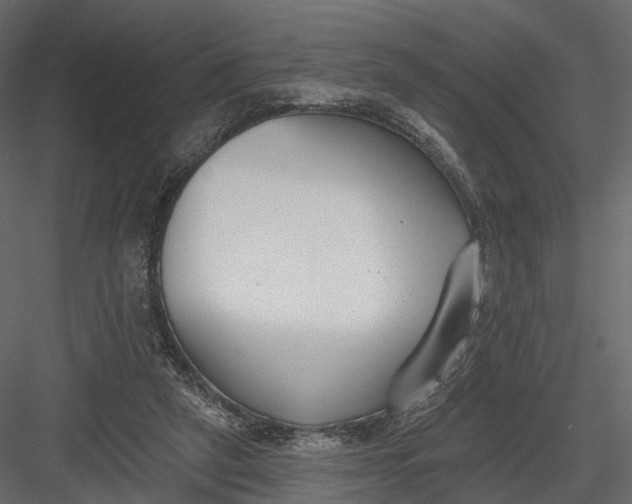 X0000083530257200702240026